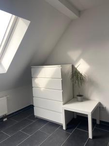 a white cabinet with a potted plant next to it at Apartment Sonnenschein in Allersberg +19 photos
