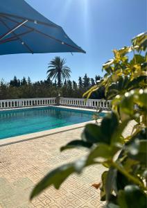 una piscina con sombrilla y palmera en Dar louzir à Tazarka en Tazarka