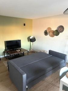 TV a/nebo společenská místnost v ubytování Agréable T2 lumineux 4 couchages tout équipé