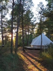 Příroda nedaleko luxury tent