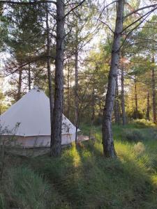 Příroda nedaleko luxury tent