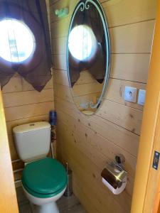 ein Bad mit einem WC und einem Spiegel in der Unterkunft Bungalow de 2 chambres avec piscine partagee jardin clos et wifi a Saint Pardoux in Saint-Pardoux