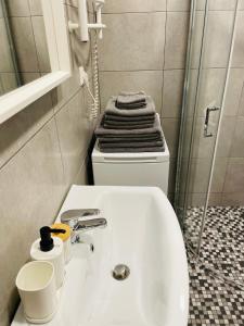 Koupelna v ubytování JANO apartment Klaipėda City Center