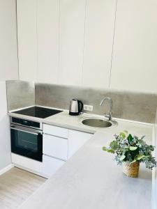 Kuchyň nebo kuchyňský kout v ubytování JANO apartment Klaipėda City Center + 11 fotografií