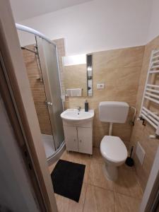a bathroom with a toilet and a sink and a shower at Garsoniera Vivere in Sibiu +18 photos
