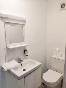 ブライトン＆ホーブにあるHorizonの白いバスルーム(洗面台、トイレ付)