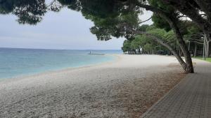 a sandy beach with a tree and the ocean at Apartment Mango in Fažana