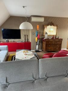 TV a/nebo společenská místnost v ubytování Duplex de caractère - 200m2