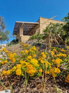 a field of yellow flowers in front of a building at Li Monaci - GALLIPOLI - EcoBio RELAIS in Gallipoli