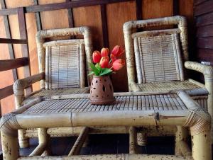 Fotografie z fotogalerie ubytování Zoé Bungalows v destinaci Gili Trawangan