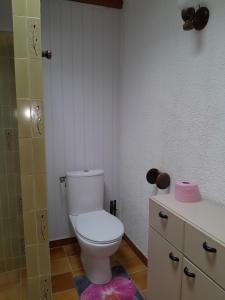 ein Badezimmer mit weißer Toilette und Dusche in der Unterkunft Gîte au cœur des châteaux de la loire in Lignières-de-Touraine