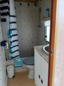 Mobil home inter في بيرك سور مير: حمام صغير مع مرحاض ومغسلة