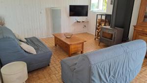 un soggiorno con divano blu e stufa a legna. di Gîte de la tuilerie des Garandons a Saint-Menoux