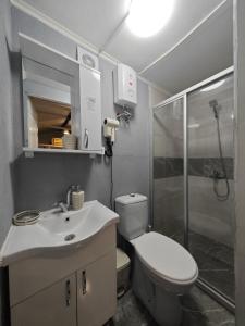 a bathroom with a toilet and a sink and a shower at Tiny Mini House in Dalaman