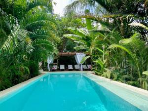 een zwembad in een tuin met palmbomen bij Gaia Villas in Nungwi