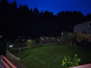 a view of a yard at night at Sigi Apartment in Barnbach