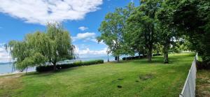 a park with trees and the water in the background at Aranypart Szálló-Közösségi Szálláshely in Siófok