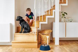 Ein Junge und ein schwarzer Hund sitzen auf der Treppe in der Unterkunft Residence Vocelova in Prag