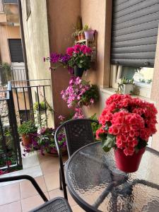 Balkón nebo terasa v ubytování B&B Fleurs