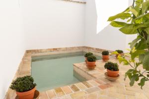 een zwembad met potplanten eromheen bij Casa Palacio Vida in Espejo
