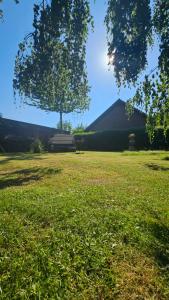 ein Grasfeld mit einer Bank und einem Baum in der Unterkunft Surforama Studio Appartement mit Meerblick und Garten in Fehmarn