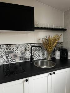 a kitchen with a sink and a black counter top at Studio Superstar in Forbach +5 photos