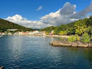 a body of water with a beach and palm trees at Ti Paradis Gîte à 200 m plage de Grande Anse in Deshaies