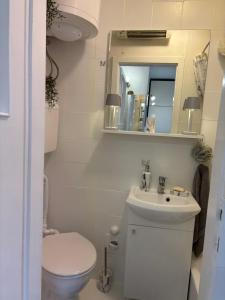 a bathroom with a toilet and a sink and a mirror at Omiš centar studio apartment in Omiš +2 photos