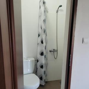 łazienka z toaletą i prysznicem w obiekcie Pokoje w Tczewie
