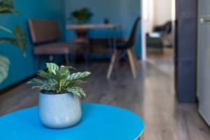 uma planta em vasos sentada numa mesa num escritório em Au cœur du Vieux-Port em Marselha