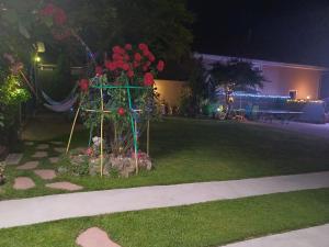 a flower garden in a yard at night at Casa Marinela in Baile Felix