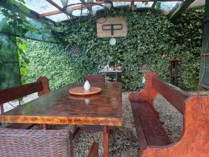 a wooden table and chairs in front of a green wall at Casa Marinela in Baile Felix