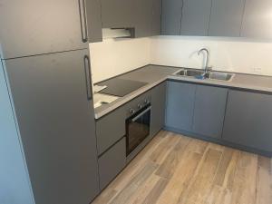 una cucina con armadi grigi, lavandino e frigorifero di Casa Lenzi a Lavarone