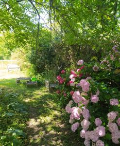 Ảnh trong thư viện ảnh của Ohikoa ở Saint-Étienne-dʼOrthe