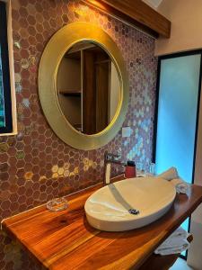 ein Badezimmer mit einem Waschbecken und einem Spiegel auf der Theke in der Unterkunft Almonds and Corals Jungle Resort in Puerto Viejo