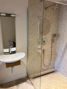 a bathroom with a sink and a shower at Ker Heol in Saint Malo