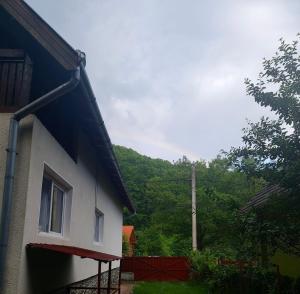 een gebouw met uitzicht op een berg bij Casa Micul Arin in Sovata