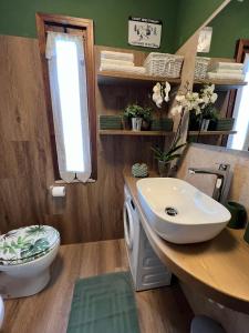 a bathroom with a sink and a toilet at Mandi Mandi in pista in Tarvisio +15 photos