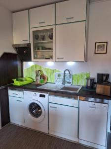 uma cozinha com uma máquina de lavar roupa e um lavatório em PaKua apartments & Penthouse em Rovinj