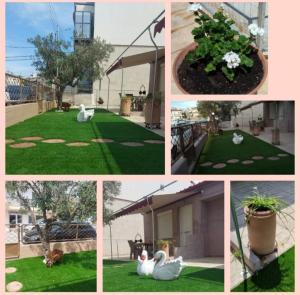 a collage of photos with a cat sitting on the grass at Kaliopi HAUS in Nea Moudania