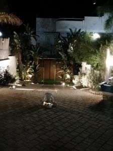 a toy teddy bear sitting on a street at night at Sole&Mare in Monopoli
