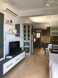 TV a/nebo společenská místnost v ubytování Alpha Apartaments + 15 fotografií