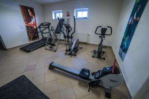 Líkamsræktarstöð og/eða líkamsræktaraðstaða á Hotel Elsyn Dvůr