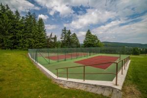 Tennis- og/eða veggtennisaðstaða á Hotel Elsyn Dvůr eða í nágrenninu