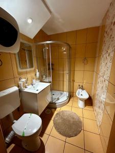 a bathroom with a shower and a toilet and a sink at Elina apartament in Drobeta-Turnu Severin
