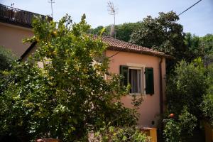 een sinaasappelboom voor een huis bij House in Pitelli - close to the 5 Terre, Gulf of Poets, Tuscany in Pitelli