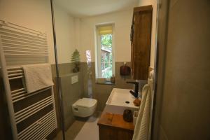 a bathroom with a toilet and a sink and a shower at Haus im Grünen in Schneverdingen +35 photos