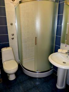 uma casa de banho com um chuveiro, um WC e um lavatório. em B&B Zmajevo Gnezdo 021 em Sremska Kamenica