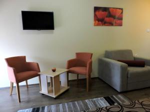 TV a/nebo společenská místnost v ubytování B&B Zmajevo Gnezdo 021