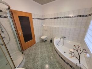 a bathroom with a shower and a tub and a toilet at Haus am See Annahütte - für bis zu 6 Personen in Schipkau +18 photos